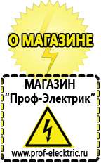 Магазин электрооборудования Проф-Электрик Инвертор+автомобильный акб в Невьянске